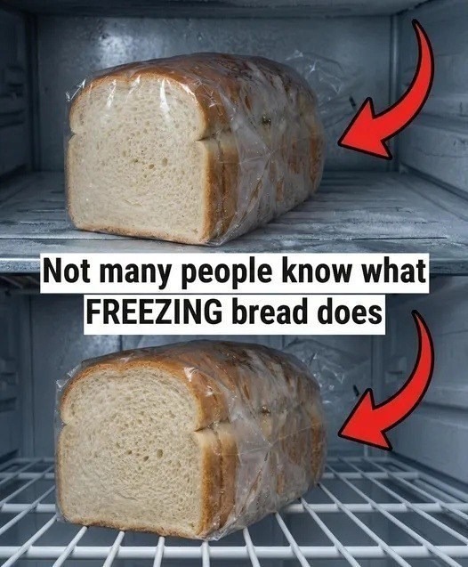 Freezing Bread? Here’s How to Prevent It From Drying Out