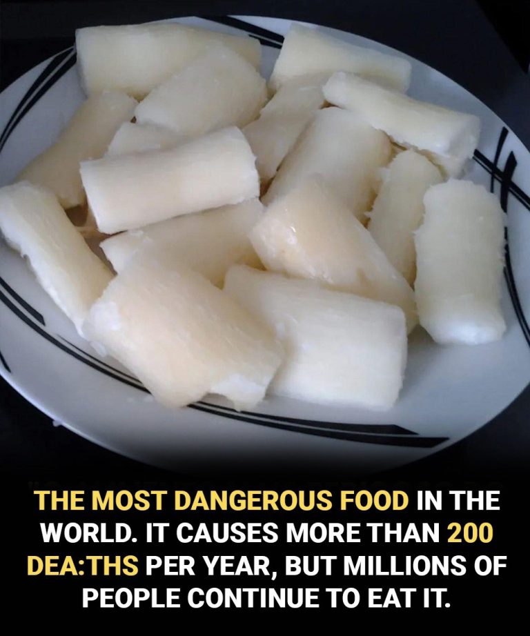 Over 200 People Are Killed by the “World’s Deadliest Food” Every Year — But Nearly 500 Million Still Eat It