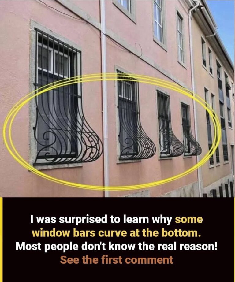 Why Do Some Window Grills Have Curves At The Bottom? The Answer Is Surprising