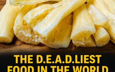 Mistakes When Eating Cassava That May Upset Your Digestive System