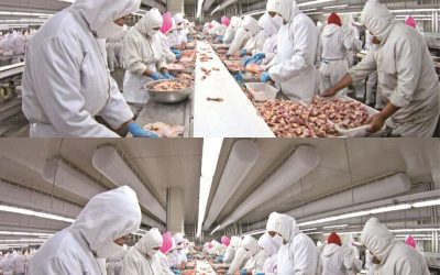 8 Foods Made in China You Should No Longer Eat