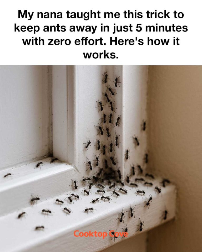 A Simple Trick for Ant Control