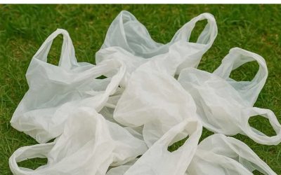 Stop throwing out plastic grocery bags. Here are 10 brilliant hacks to use them around the house