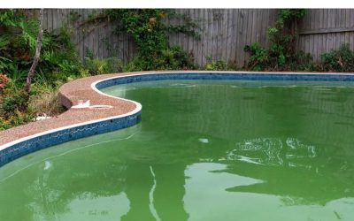 My nana taught me this hack to get rid of green pool algae in 5 mins with 0 work. Here’s how it works