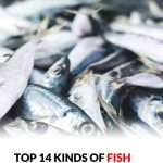 “WARNING — Stop eating this fish immediately: A complete health alert & scientific review (What you must know before it’s too late).”