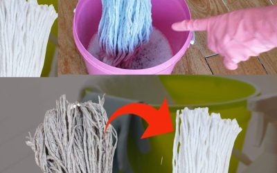 Very dirty mop, do not buy it again: a drop of this ingredient and it will be new again.