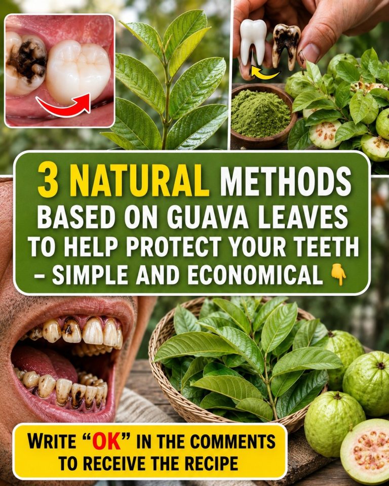 Top 3 Ways Guava Leaves Attack Tooth Decay Before It Spreads