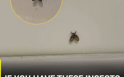 I didn’t know what those were 😨 Check the first comment…👇