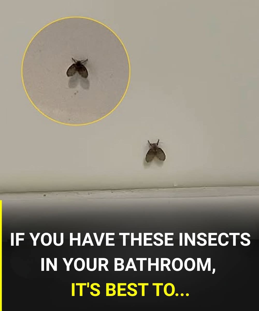 I didn’t know what those were 😨 Check the first comment…👇
